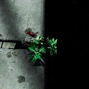 老头玩大几已谢精子
